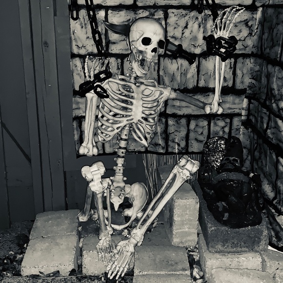 Meet your Posher, Shannon - Picture 1 of 1